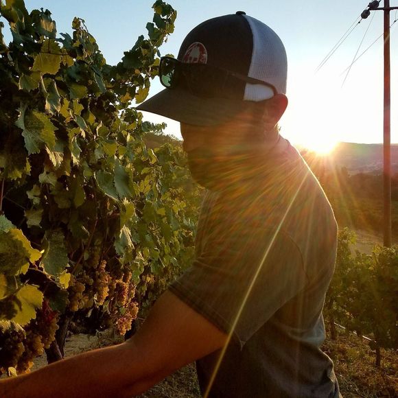 Meet your Posher, Jacob - Picture 1 of 1